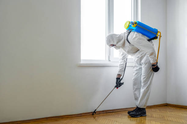 Best Residential Pest Control  in Sugarcreek, PA